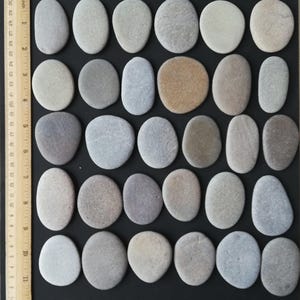 May include: An assortment of smooth, oval-shaped stones in varying shades of gray, beige, and brown, arranged on a black surface. A ruler is placed vertically along the left side, providing a size reference. The stones are likely used for decorative purposes.