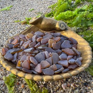Op de afbeelding: Een verzameling gladde, matglazen stukjes zeeglas in tinten paars, lavendel en amber, geplaatst in een grote, geschulpte, goudkleurige metalen schaal in de vorm van een schelp met een decoratief, gekruld handvat aan de bovenrand.