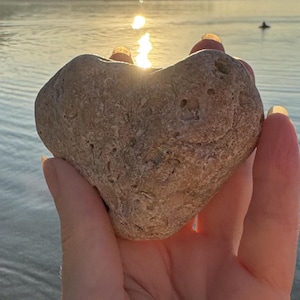 Könnte beinhalten: Ein herzförmiger Stein mit einer texturierten, beigefarbenen Oberfläche, die kleine natürliche Vertiefungen und fossilartige Markierungen aufweist. Der Stein hat eine abgerundete Oberseite und eine spitz zulaufende Unterseite mit rauer Struktur.