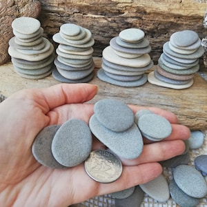 May include: Several stacks of smooth, grey river stones in varying sizes. Several stacks are arranged on a piece of driftwood. A hand holds several loose stones and a coin. The stones range in colour from light grey to darker shades.