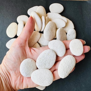 Guijarros de playa blancos a granel de 3,2 a 4,3 cm / Piedras marinas planas para manualidades / Guijarros blancos redondos y ovalados para mosaicos, piedras para cuadros y arte con guijarros