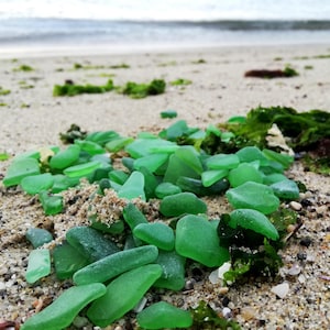 Bulk Genuine Green Sea Glass 0.4&quot;-0.9&quot; Lot 80-240 pcs | Genuine Beach Glass for Crafts & Jewelry | Mosaic Supplies | Real Tumbled Sea Glass