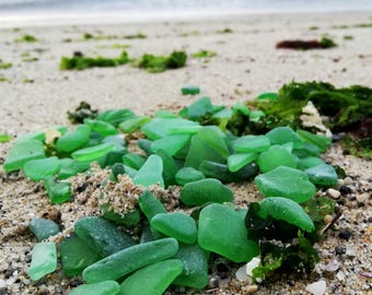 Bulk Genuine Green Sea Glass 0.4"-0.9" Lot 80-240 pcs | Real Tumbled Genuine Beach Glass for Crafts & Jewelry
