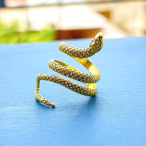 May include: A gold-coloured ring shaped like a snake, coiled around itself. The snake's head is raised, and the body is textured with scales. The ring is set against a blue surface, with a blurred background of green and white.