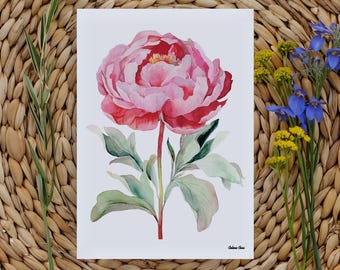 Peony Watercolor Print: Botanical Floral Wall Art for Garden Lovers