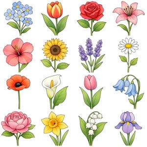Puede incluir: Una colección de dieciséis ilustraciones de flores coloridas, incluyendo una rosa roja, un lirio rosa, un girasol amarillo y lavanda púrpura. Cada flor se representa con pétalos detallados y hojas verdes, mostrando una variedad de tipos florales.