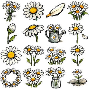 16 Daisy Clipart PNG Bundle, Raw, Sketchy Storybook Style, Digital Download