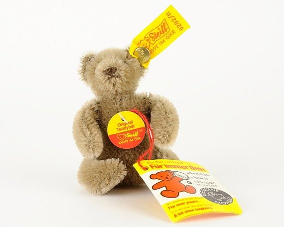 teddy bear with pocket