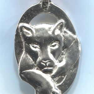 Cougar / Panther - 3045S