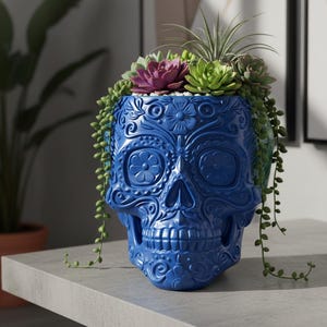 Pu&ograve; includere: Un vaso blu a forma di teschio con intricati disegni floreali, riempito con una variet&agrave; di piante grasse e piante ricadenti. Il vaso &egrave; in ceramica o materiale simile e si trova su una superficie grigia.