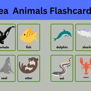 Sea Animals Flashcards, Ocean Creatures Learning Cards for Kids
