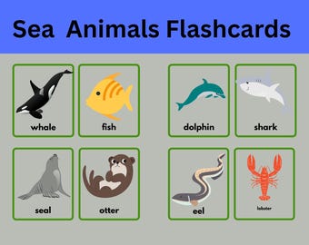 海の動物フラッシュカード、子供向けの海の生き物学習カード