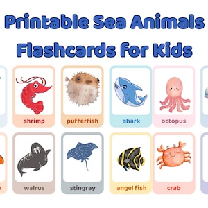 Printable Sea Animals Flashcards for Kids, Ocean Creature Learning Cards, Under the Sea Educational Activity
