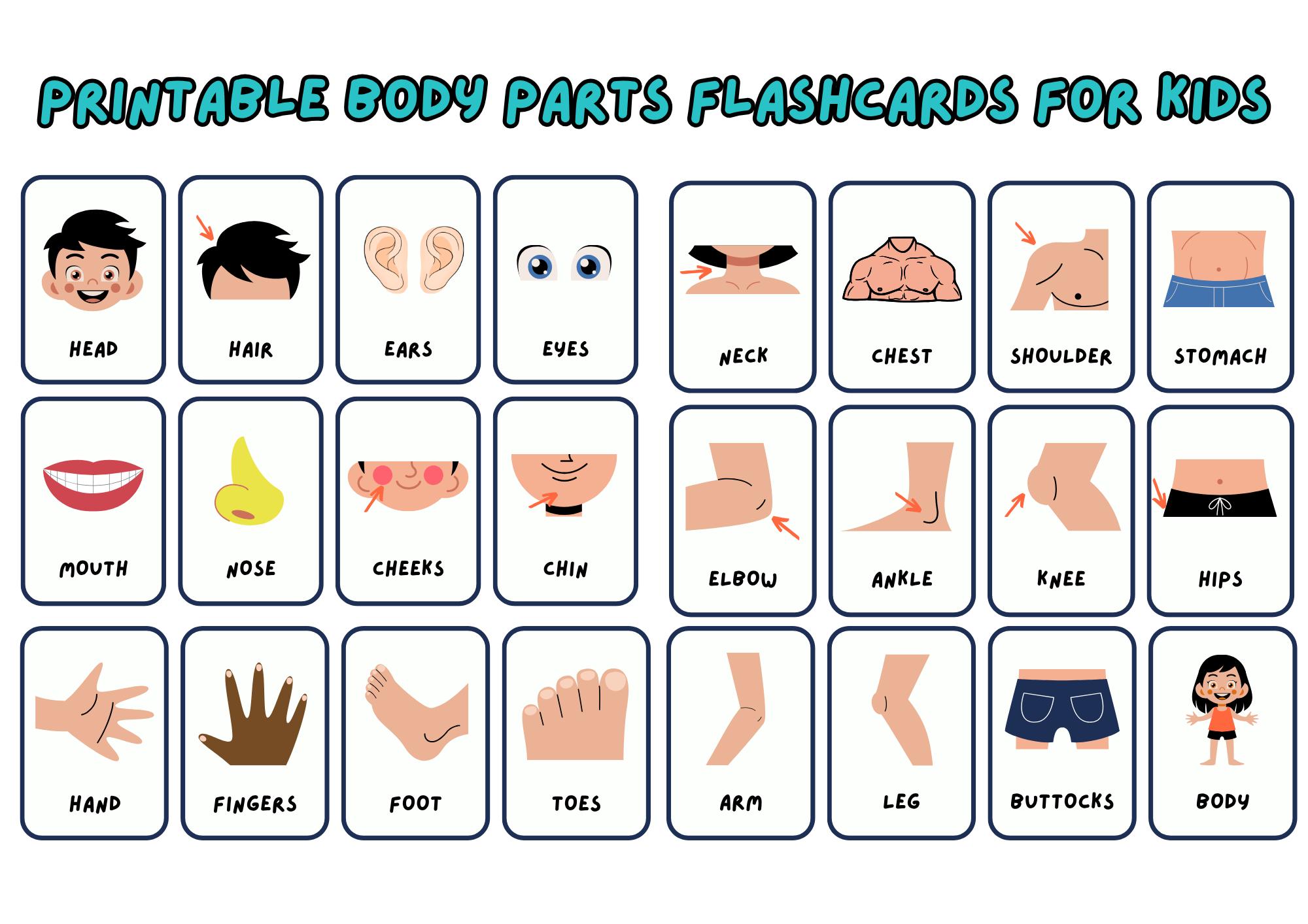 Printable Body Parts Flashcards for Kids, Human Body Learning Cards ...