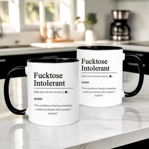 Fucktose Intolerant Definition Mug, Funny Coffee Cup, Sarcastic Gift, Swear Word, Profanity Quote, Rude Humour, Ceramic Coffee Mug/Tea Cup