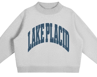 May include: A light grey long-sleeve sweatshirt with a mock neck collar and ribbed cuffs. The front features the text "LAKE PLACID" printed in a dark blue, arched, collegiate-style font across the chest area of the garment.