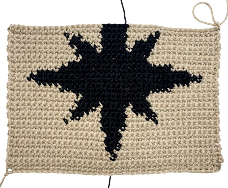 Modern crochet wall hanging pattern featuring a bold black eight-pointed star on a neutral background. This is a digital PDF pattern for instant download, not a finished product.
