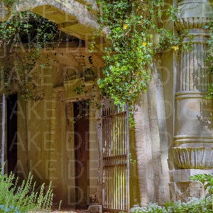 May include: An aged stone structure with an arched entrance and a wrought iron gate. Lush green ivy cascades down the weathered walls and columns. The scene is bathed in natural light, creating a serene, historical ambiance.