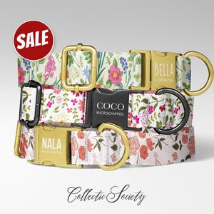 Personalized Spring Flower Dog Collar: Custom Name Engraved Buckle Pet Accessory, Easter Blooms, Handmade USA, CDC-035