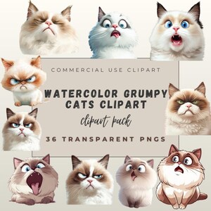 36 Watercolor Grumpy Cat Clipart Bundle, Funny Moody Kitty, NGs for Stickers & Crafts, Cat Illustrations, Watercolor Angry Cat Clipart
