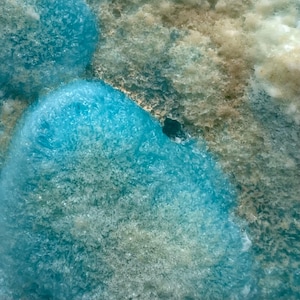 May include: Close-up of a mineral specimen featuring vibrant, crystalline formations in shades of turquoise and light blue. The mineral has a rough, textured surface with areas of beige and off-white, creating a striking contrast.