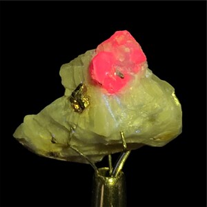 Puede incluir: Un espécimen mineral con un vibrante grupo de cristales rosas sobre una base amarillo pálido. Se observa una pequeña inclusión metálica dorada. La muestra está montada sobre un soporte dorado sobre un fondo negro.