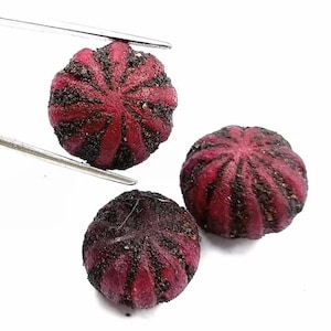 Puede incluir: Tres gemas redondas de color rojo oscuro con inclusiones negras se muestran sobre un fondo blanco. Una de ellas está sujeta con pinzas. Las gemas tienen un patrón acanalado que irradia desde el centro, similar a una flor o un erizo de mar.