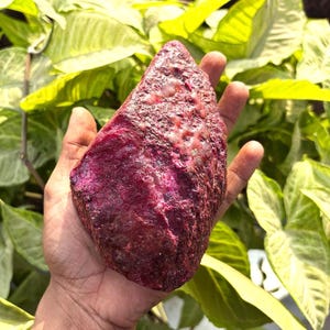 4305 Ct Large Natural Red Ruby Rough for Lapidary | Certified Uncut Raw Red Gemstone | Ideal for Artisan Cutting, Carving & Study Use |