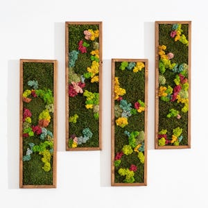 Moss Wall Art Decor | Handmade Wood Hexagon with moss | Honeycomb hexagon | Colormix | Reindeer moss sheet moss pole moss | Wall Art