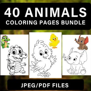 40 Animal Coloring Pages Bundle | Coloring Pages For Kids | Preschoolers Coloring Printable | Easy Coloring Pages | Print at Home