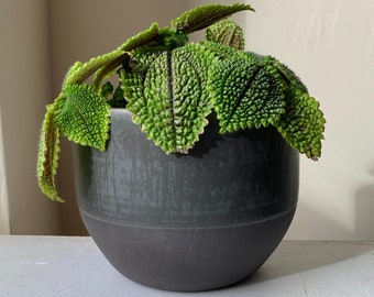 Plant pot | charcoal