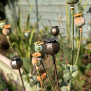 Metal Poppy Seed Head | Garden Decor | Rusted Stake | Plant Support