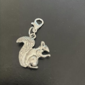 May include: A silver-colored squirrel charm with a detailed design. The charm features a squirrel with a bushy tail and a clasp for attaching to a bracelet or necklace. The charm is made of a shiny metal and is set against a dark background.