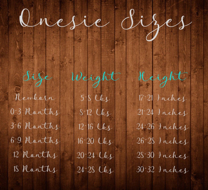 I Just Did 9 Months Onesie