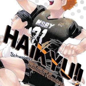 Può includere: Copertina di Haikyu!! Volume 45, con due personaggi animati in abbigliamento da pallavolo. Il titolo è in nero e arancione, con il nome dell'autore in basso. Un pallone da pallavolo è visibile in alto a sinistra.