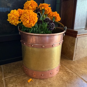 May include: A copper and brass bucket planter filled with vibrant orange marigold flowers and dark purple allium flowers. The bucket has a brass center section with copper bands and rivets. A handle is attached to the top rim.