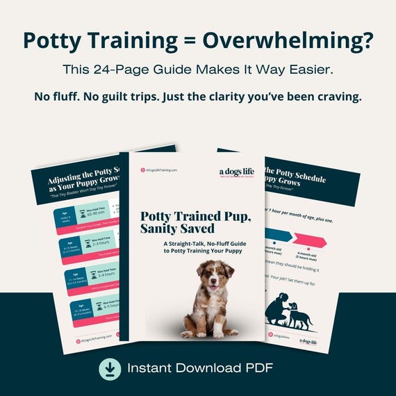 Printable Dog Bathroom Training Train Puppy Not To Pee In House Top