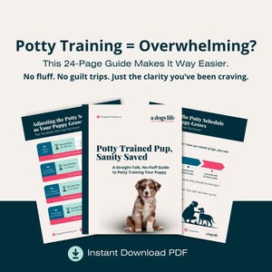 Welpen Töpfchen Anleitung