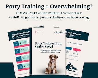 Puppy Potty Training Guide