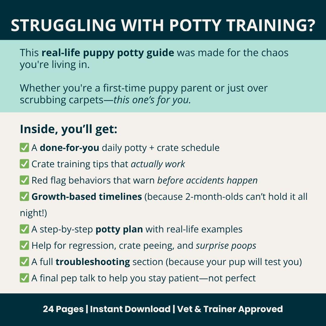 Toilet Training How To Crate Train Your Puppy Fast Potty Train