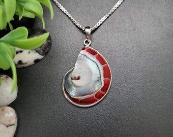 Z-314 | Colar com Pingente Exclusivo de Concha de Nautilus | Pingente de Nautilus em Prata de Lei | Pingente de Concha de Nautilus Vermelha em Prata 925 | Concha Natural