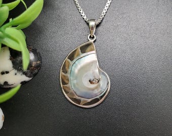 Z-316 | Colar com Pingente Exclusivo de Concha de Nautilus | Pingente de Nautilus em Prata de Lei | Pingente de Concha de Nautilus Natural em Prata 925 | Nautilus Grande