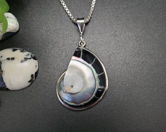 Z-315 | Pingente de Concha de Nautilus em Prata de Lei com Opções de Corrente em Prata | Joias Exclusivas para Praia e Oceano | Pingente de Nautilus | Colar de Nautilus