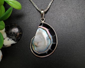 Z-313 | Colar com Pingente Exclusivo de Concha de Nautilus | Pingente de Nautilus em Prata de Lei | Pingente de Concha de Nautilus Preta em Prata 925 | Concha Natural