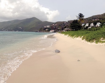 Tropical Sandy Beach Wall Art Printable, Caribbean Ocean Photography, Virgin Islands Digital Download