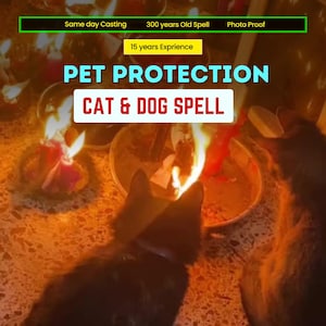 Pet Protection Spell & Sigil Boost - Dog Cat Ritual | witch spell | Animal spirit