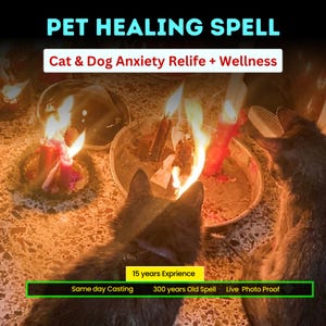 May include: Two dark-furred cats sit before metal trays holding lit red and white candles. Text reads: PET HEALING SPELL, Cat & Dog Anxiety Relife + Wellness, 15 years Exprience, Same day Casting, 300 years Old Spell, and Live Photo Proof.