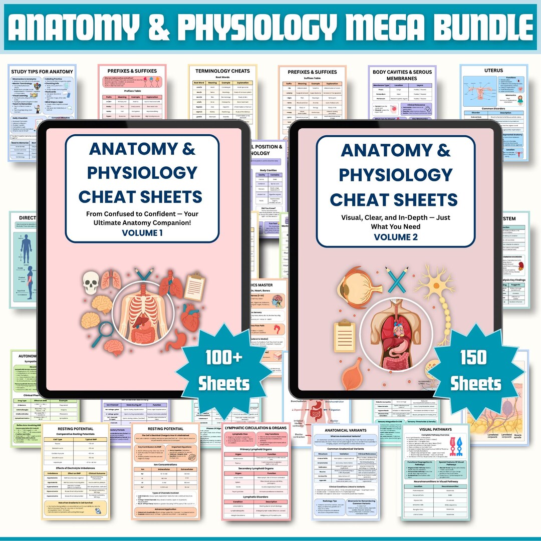 Anatomy and Physiology Notes Mega Bundle Vol 1 & 2 | Human Anatomy ...
