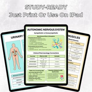 May include: Three digital tablets displaying medical study guides. The central tablet shows the autonomic nervous system, with diagrams and text. The other tablets display urinary and muscle diagrams. The text "STUDY-READY" and "Just Print Or Use On iPad" are at the top.