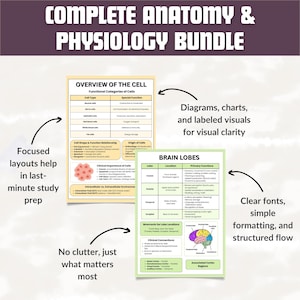 May include: Anatomy and physiology study bundle with charts, diagrams, and labelled visuals. Focused layouts aid last-minute study. Clear fonts and simple formatting are used. The guides cover cell types and brain lobes.